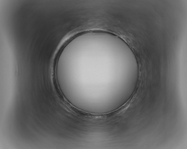 X0000111040056200906251146