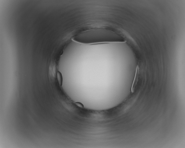 X0000111040076200906251146