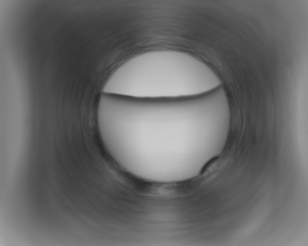 X0000111040078200906251146