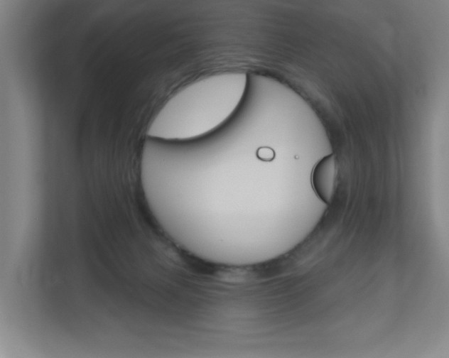 X0000111040079200906251146
