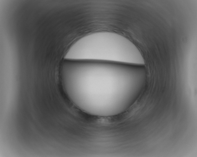 X0000111040080200906251146