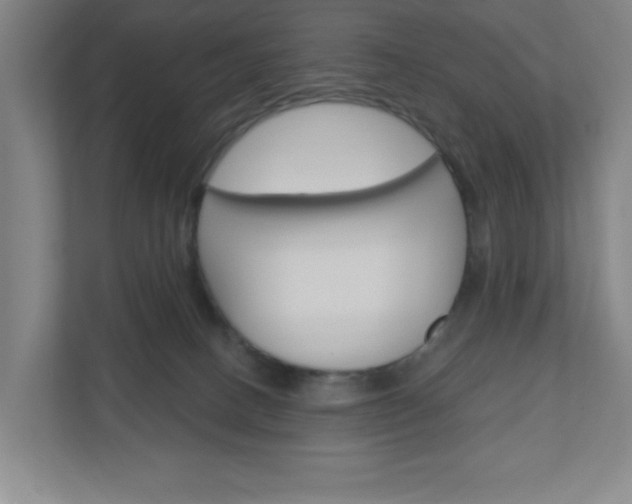 X0000111040082200906251146