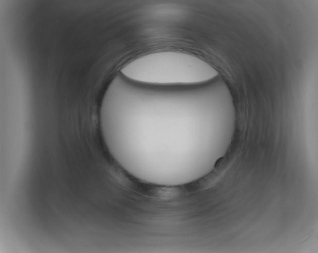 X0000111040085200906251146