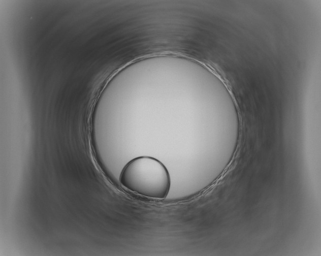 X0000111040097200906251146