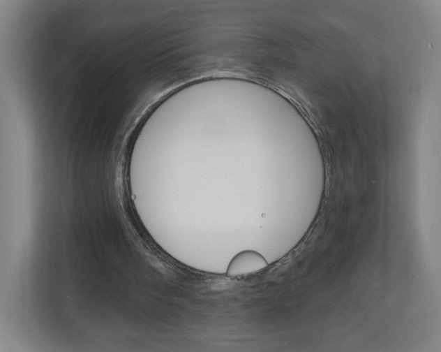 X0000111040098200906251146