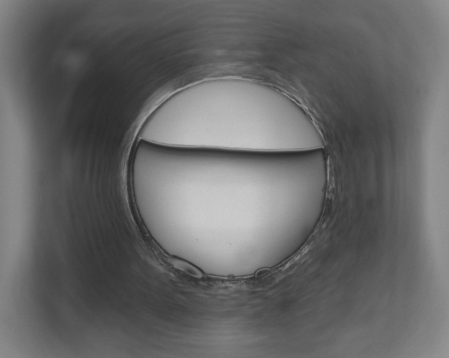 X0000111040099200906251146