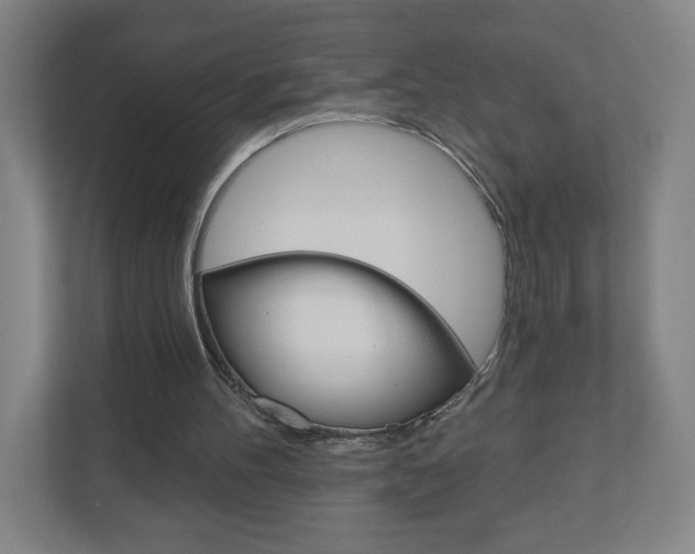 X0000111040100200906251146