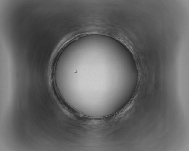 X0000111040101200906251146