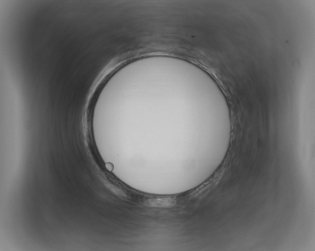 X0000111040102200906251146