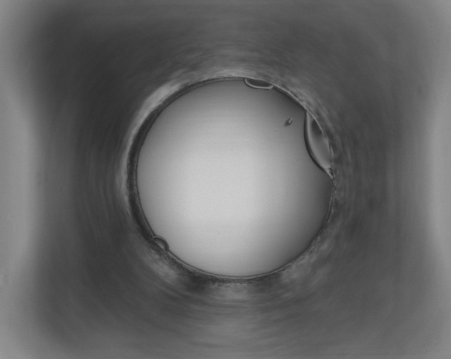 X0000111040104200906251146