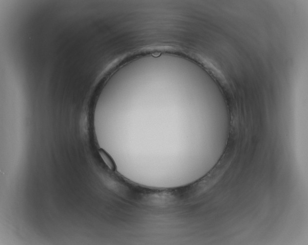 X0000111040112200906251145