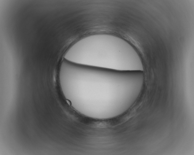 X0000111040115200906251145