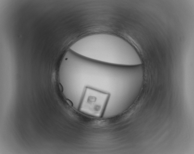 X0000111040117200906251145