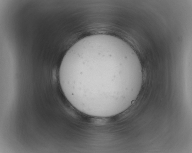 X0000111040122200906251145