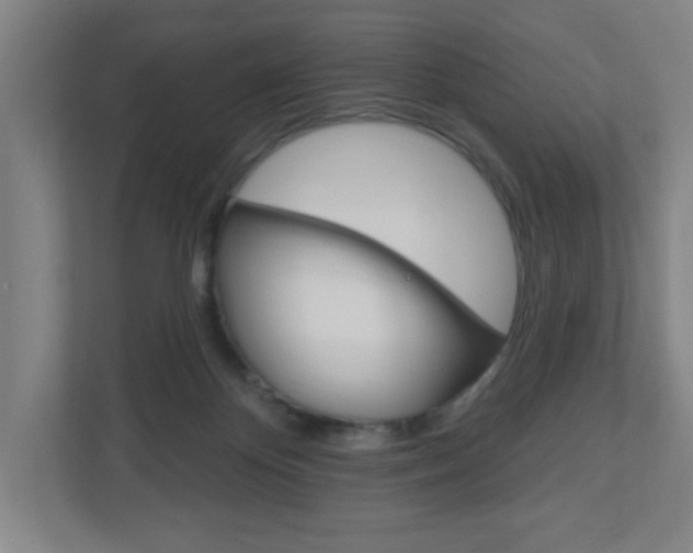X0000111040124200906251145