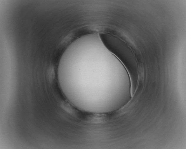 X0000111040128200906251145