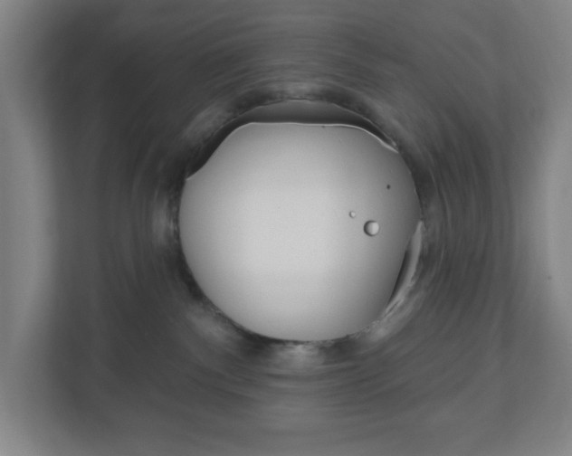 X0000111040140200906251145