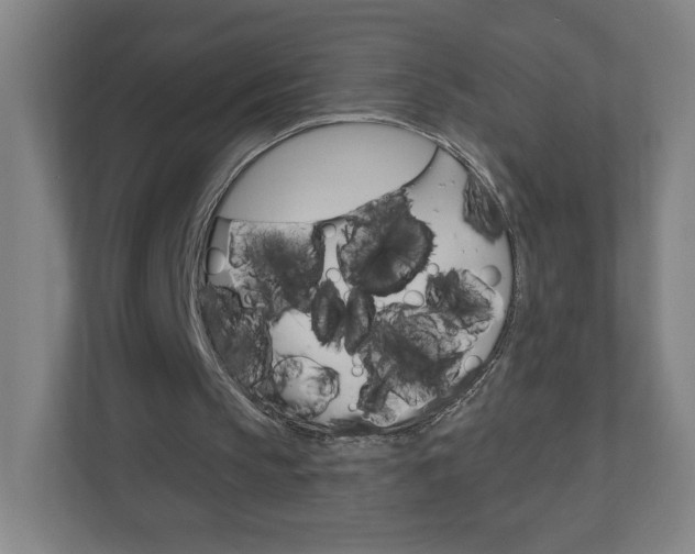 X0000111040145200906251144