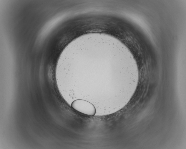 X0000111040146200906251144
