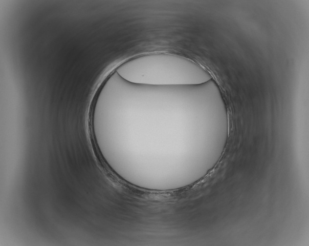 X0000111040147200906251144