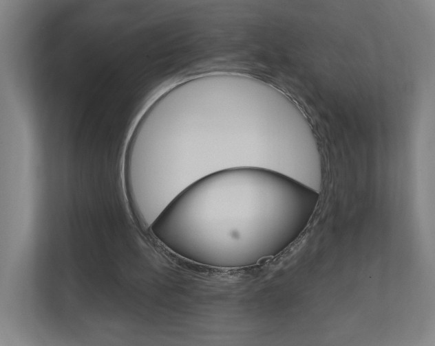X0000111040148200906251144
