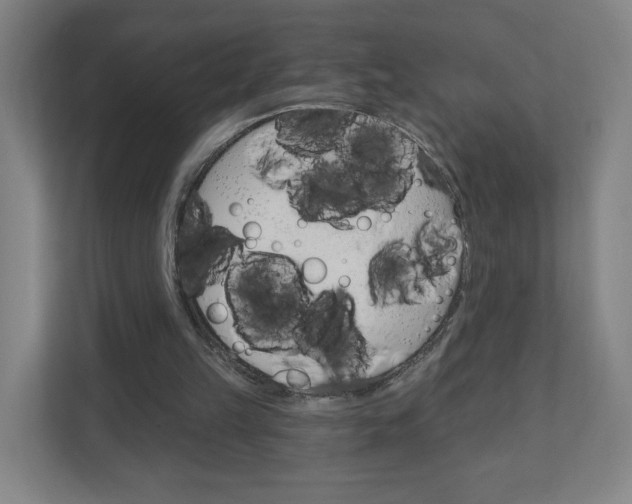 X0000111040149200906251144
