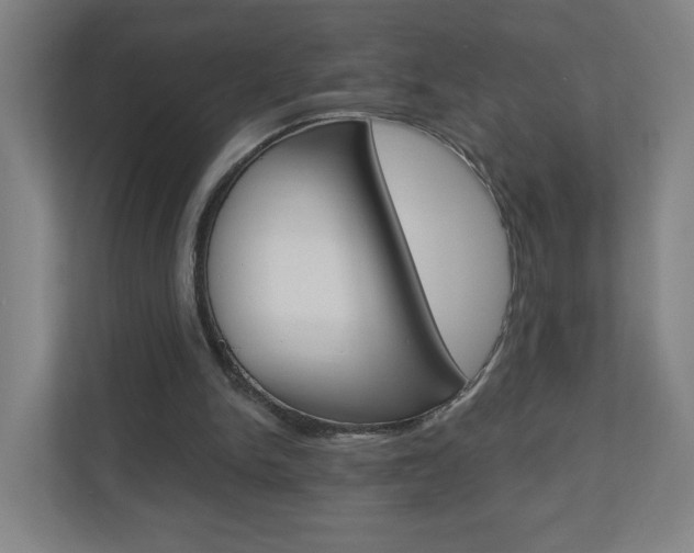X0000111040150200906251144