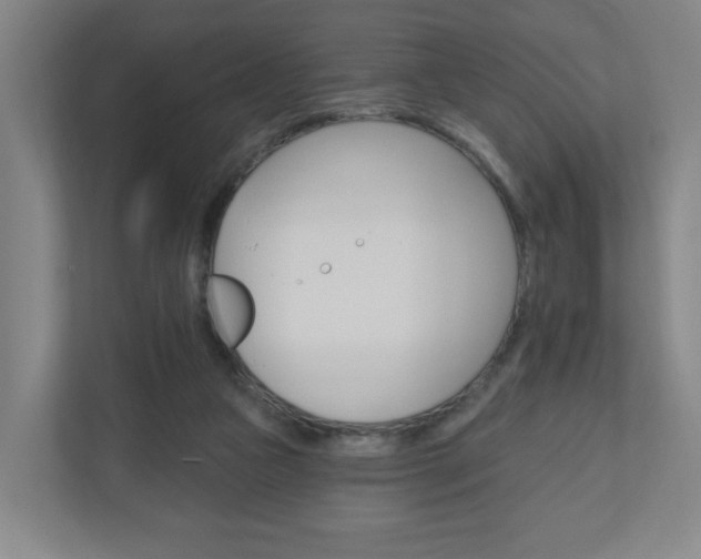 X0000111040161200906251145