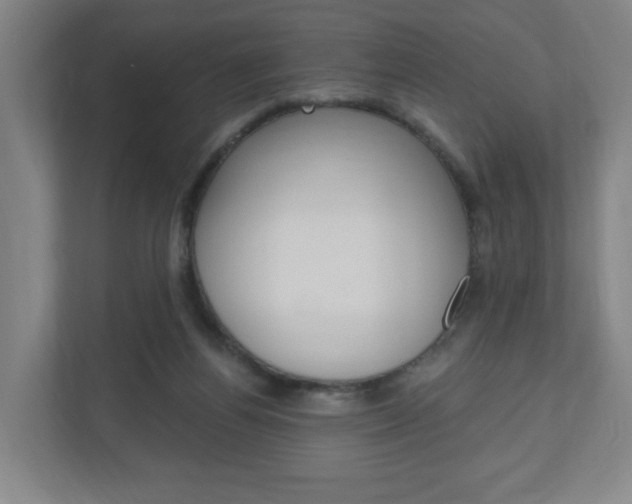 X0000111040164200906251145