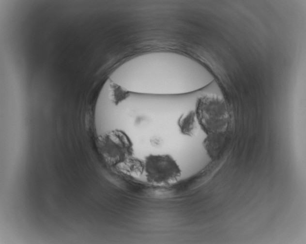 X0000111040165200906251145