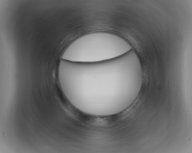 X0000111040166200906251145