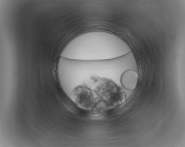 X0000111040175200906251145