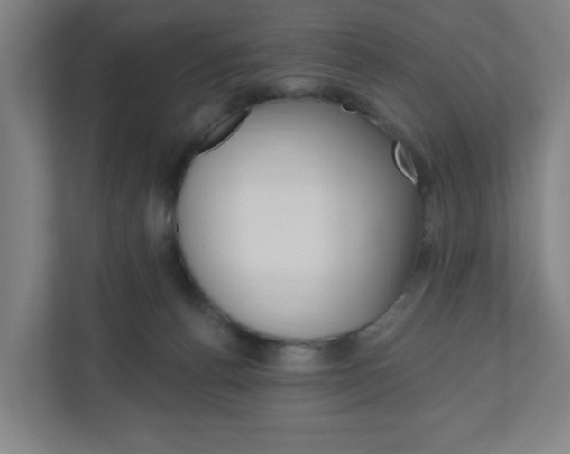 X0000111040176200906251145