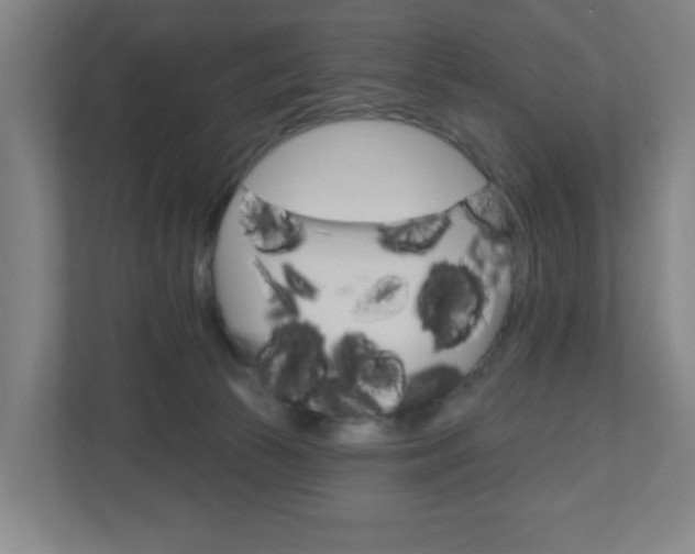 X0000111040177200906251145