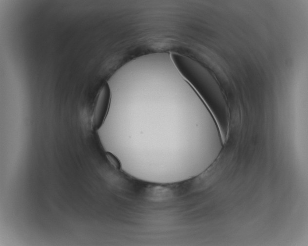 X0000111040180200906251145