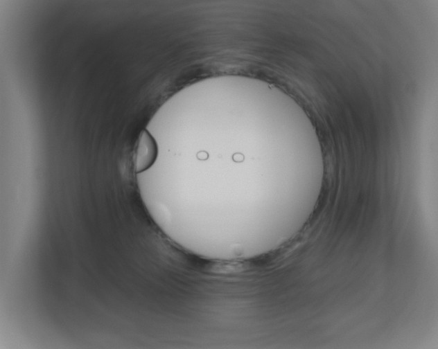 X0000111040181200906251145