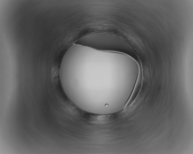 X0000111040184200906251145
