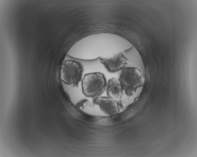 X0000111040185200906251145
