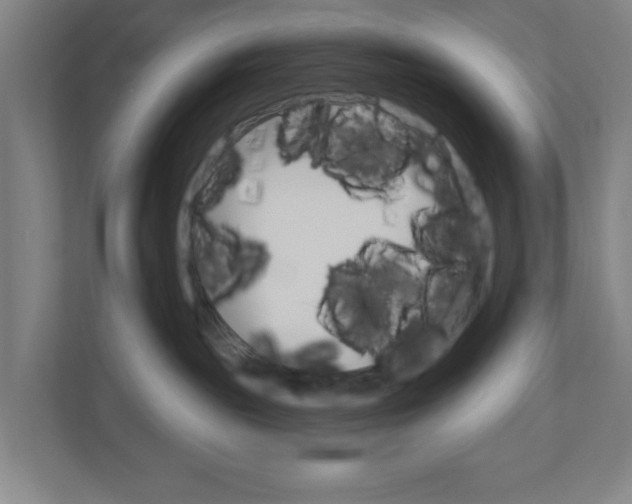 X0000111040189200906251145