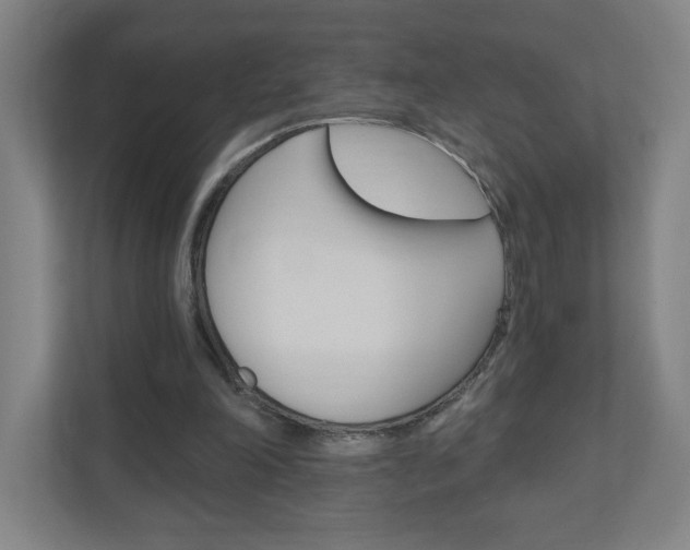 X0000111040198200906251144