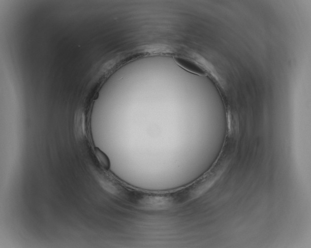 X0000111040205200906251144