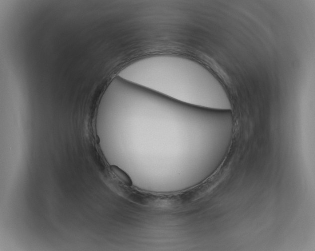 X0000111040209200906251144