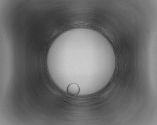 X0000111040215200906251144