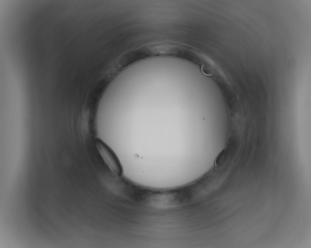 X0000111040217200906251144