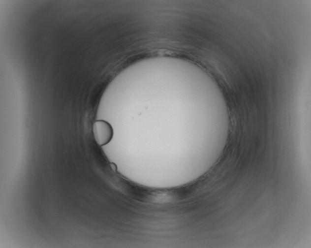 X0000111040218200906251144