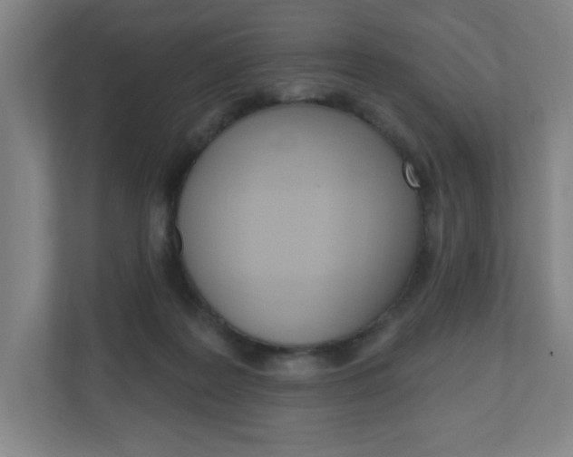 X0000111040219200906251144