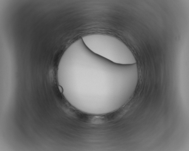 X0000111040222200906251144