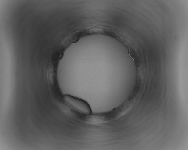 X0000111040223200906251144