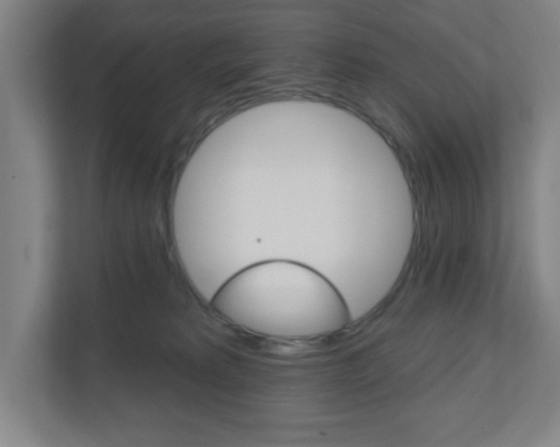 X0000111040229200906251144