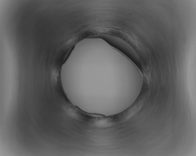 X0000111040235200906251144